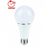 Bec LED Emergenta E27 10W Glob A70